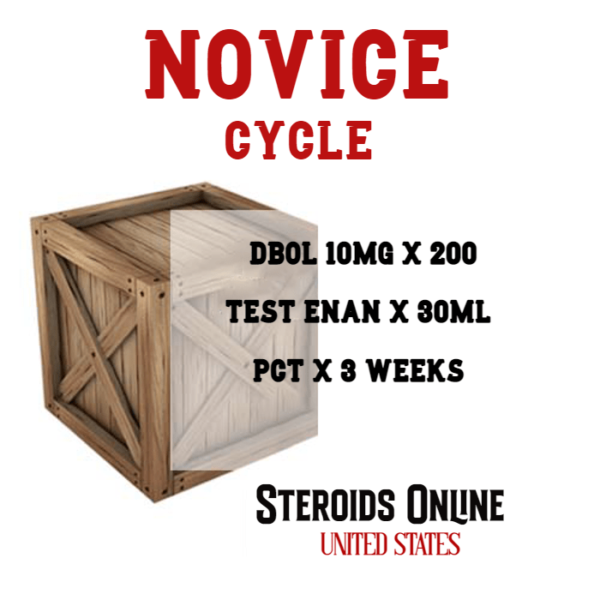 Novice Steroid Cycle
